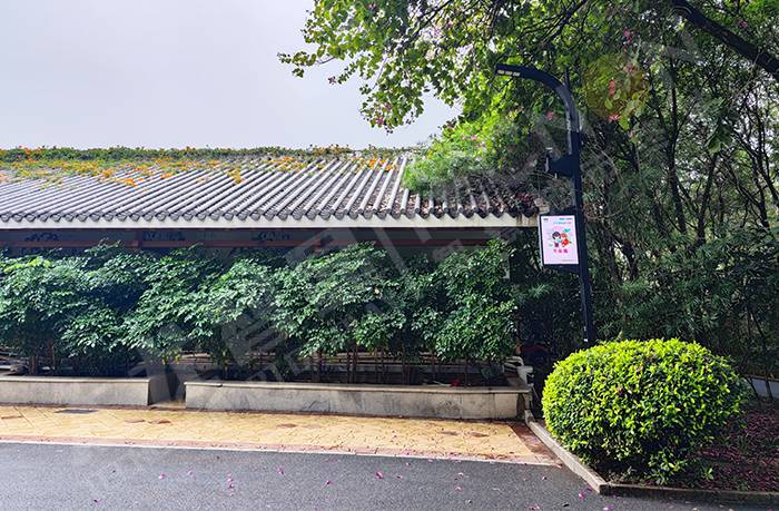 LED燈桿屏